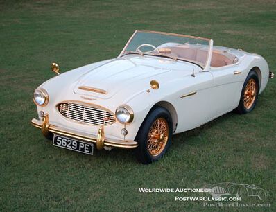 Golden Healey starring in Texas.