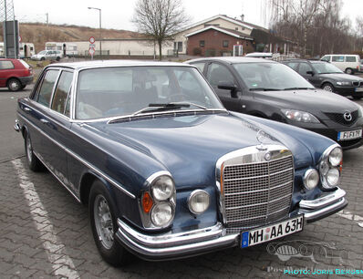 Stuttgart's Muscle Saloon