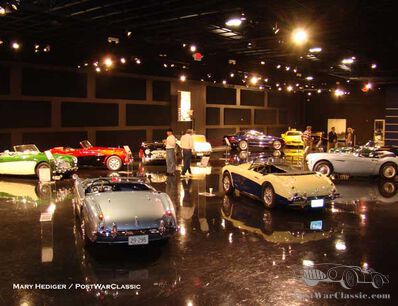 93 year young Healey Fan