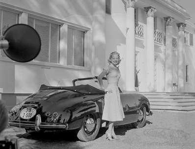 Porsche lady just leaves us with questions