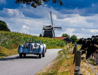 A Dutch display at a Dutch event with a Dutch BMW…