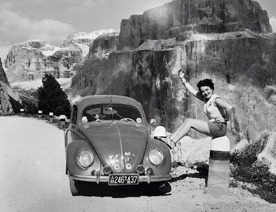Beetle belle's mountain adventure