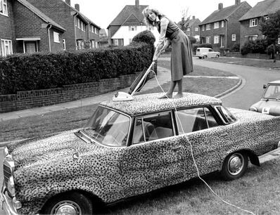Alternative methods of car care with the leopard-skin Mercedes