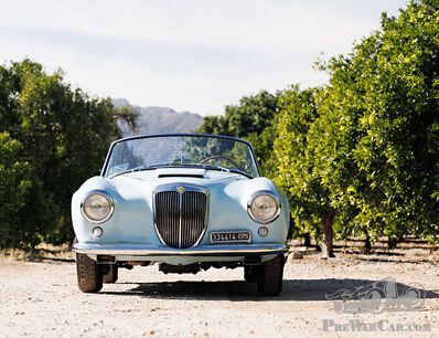 Golddigger Girls, a Foster pup, a fast car and an enthusiastic family, and much more...