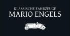 User logo