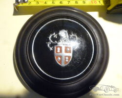 austin hornpush button complete.