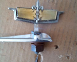 Hood(bonnet ) emblem for American car