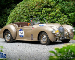 1947 Westland Healey Roadster