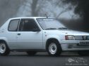 1988 Peugeot 205 Rallye 1.3 Group A/N