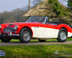1965 Austin Healey 3000 Mk III phase 1