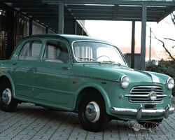 Fiat 1100/103 TV 1955