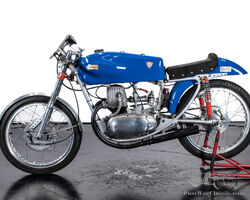 1952 Berneg 175
