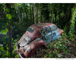 RENAULT 4CV ORGAN DONOR INCLUDED TO BE REGISTERED... - LOT 48 - OSENAT