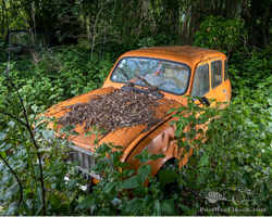 RENAULT 4L To restore - Lot 56 - Osenat