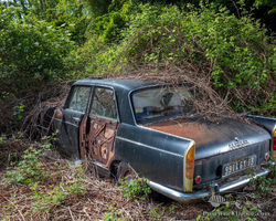 PEUGEOT 404 AND DS 23 - Lot 59 - Osenat