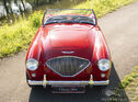 Multiple Concours Winner: Stunning Austin Healey 100-4/BN2 from 1955