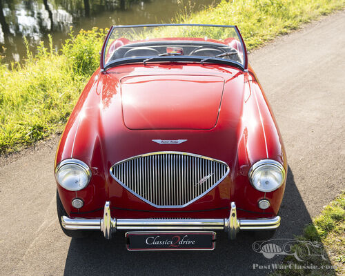 Multiple Concours Winner: Stunning Austin Healey 100-4/BN2 from 1955