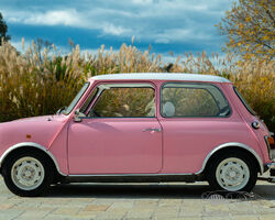 MINI MINOR 1.3 CAT