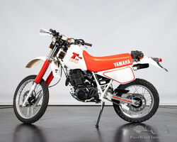 1986 YAMAHA TT 600