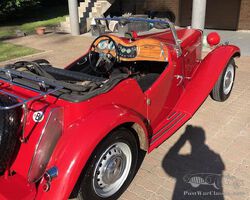 Mg TD