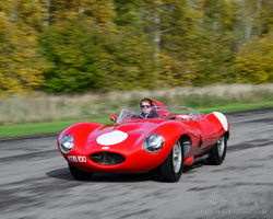 1955 Jaguar D-Type